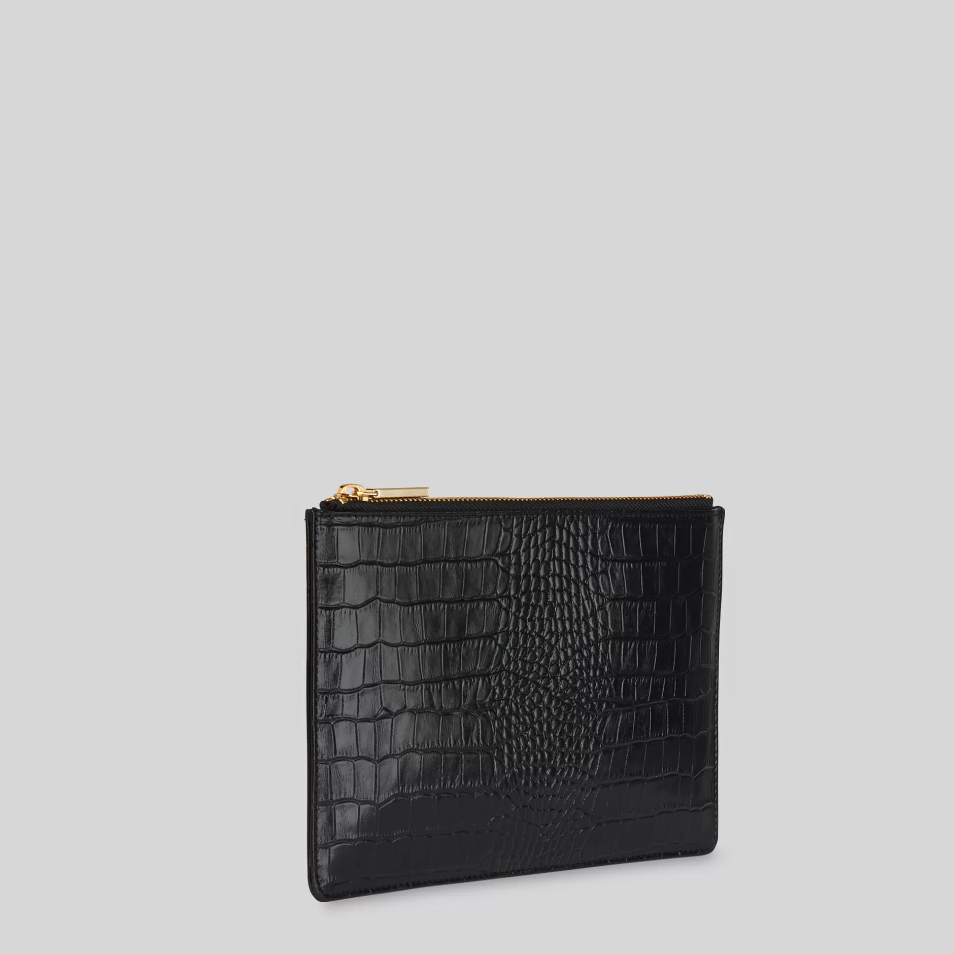 Women Whistles Small Bags & Clutches | Shiny Croc Small Clutch